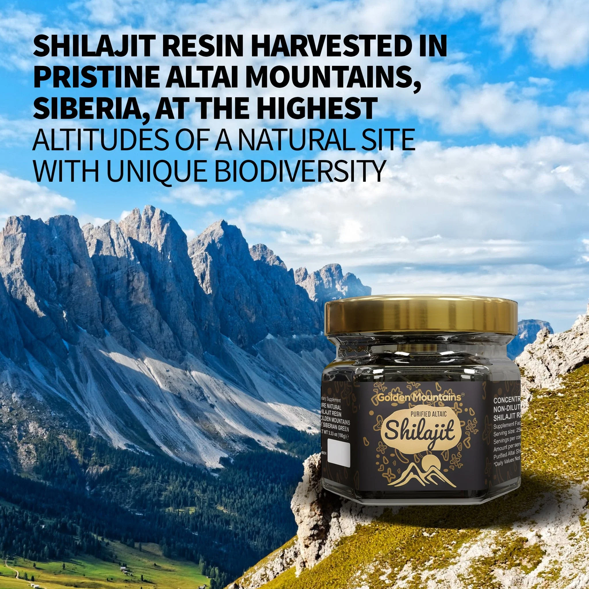 Golden Mountains Shilajit Resin 100g: Pure Altai Mountains Shilajit by Siberian Green - Image 10