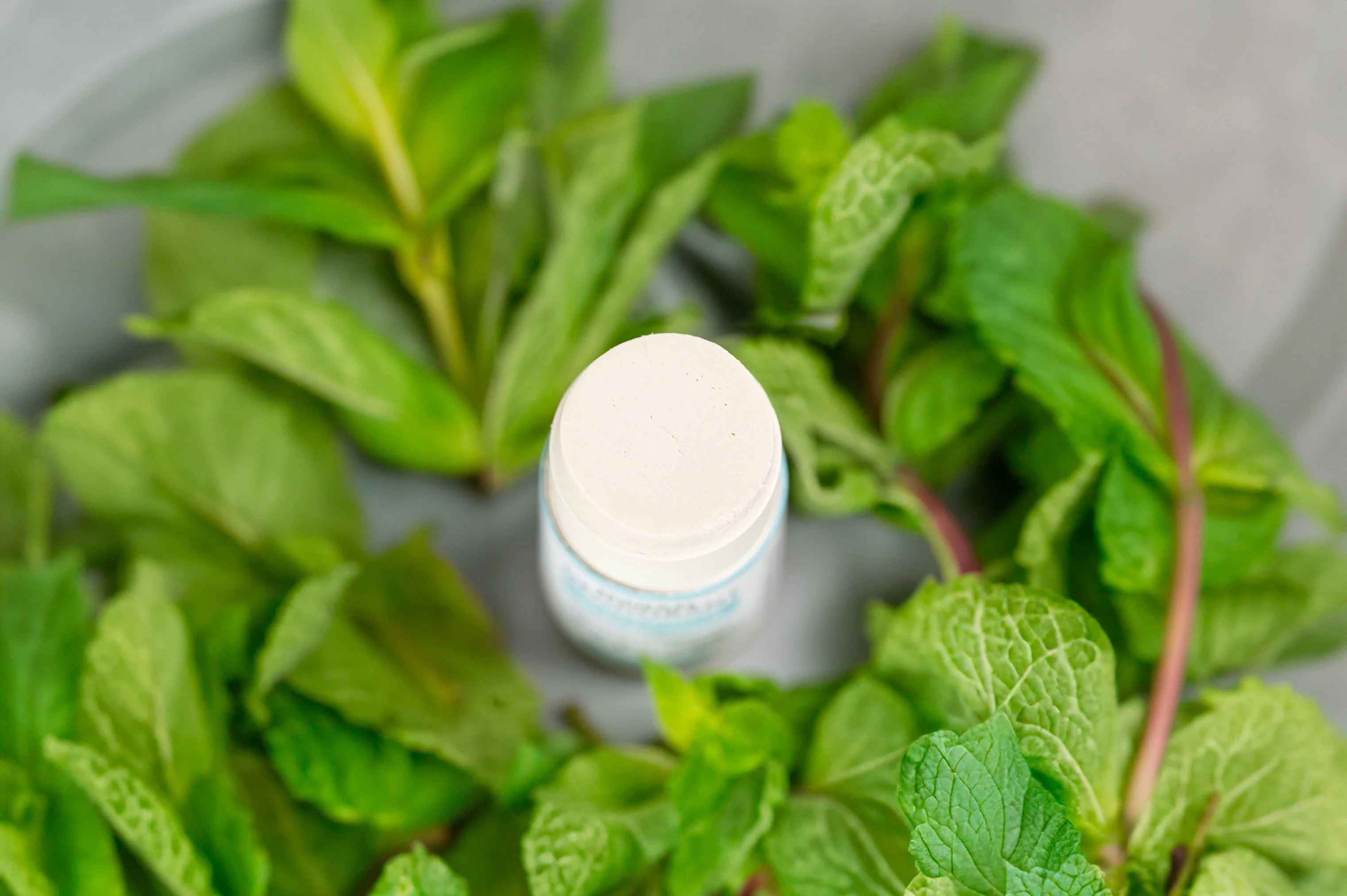 Mineral Deodorant (2-Pack) Travel Size - Image 11